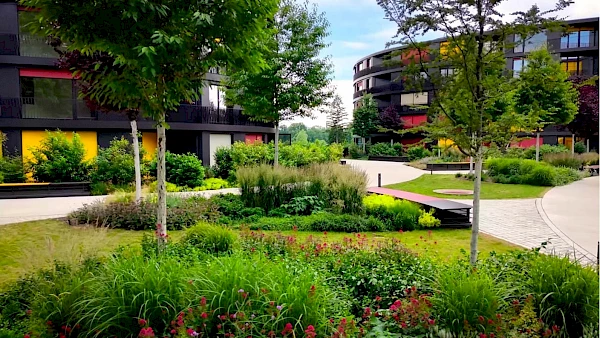 Entdecken Sie Marina Garden Dresden in voller Sommerblüte