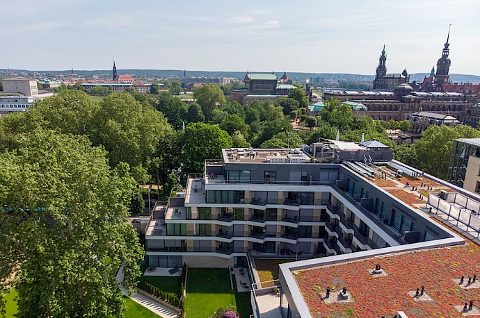 Projekte in Dresden